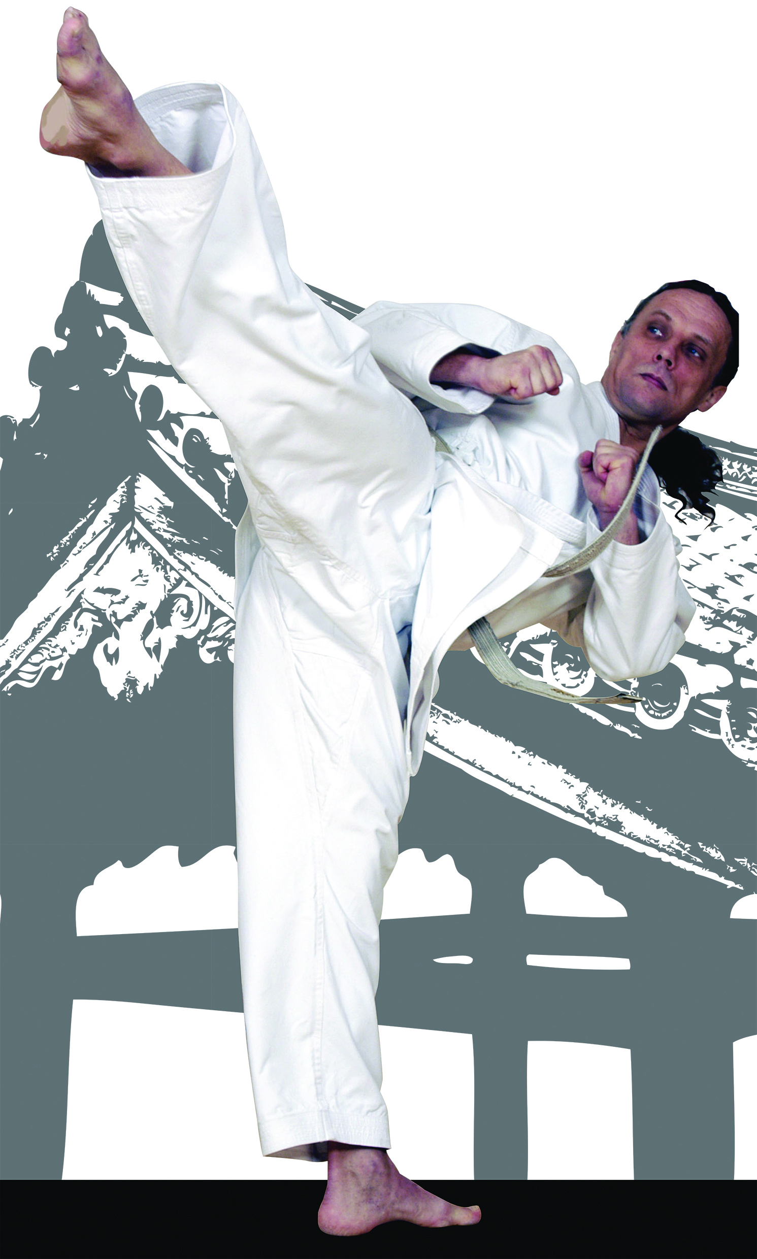 Gerd Shihan könyv